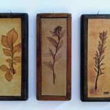 Vallauris herbarium triptych, R.Leduc
