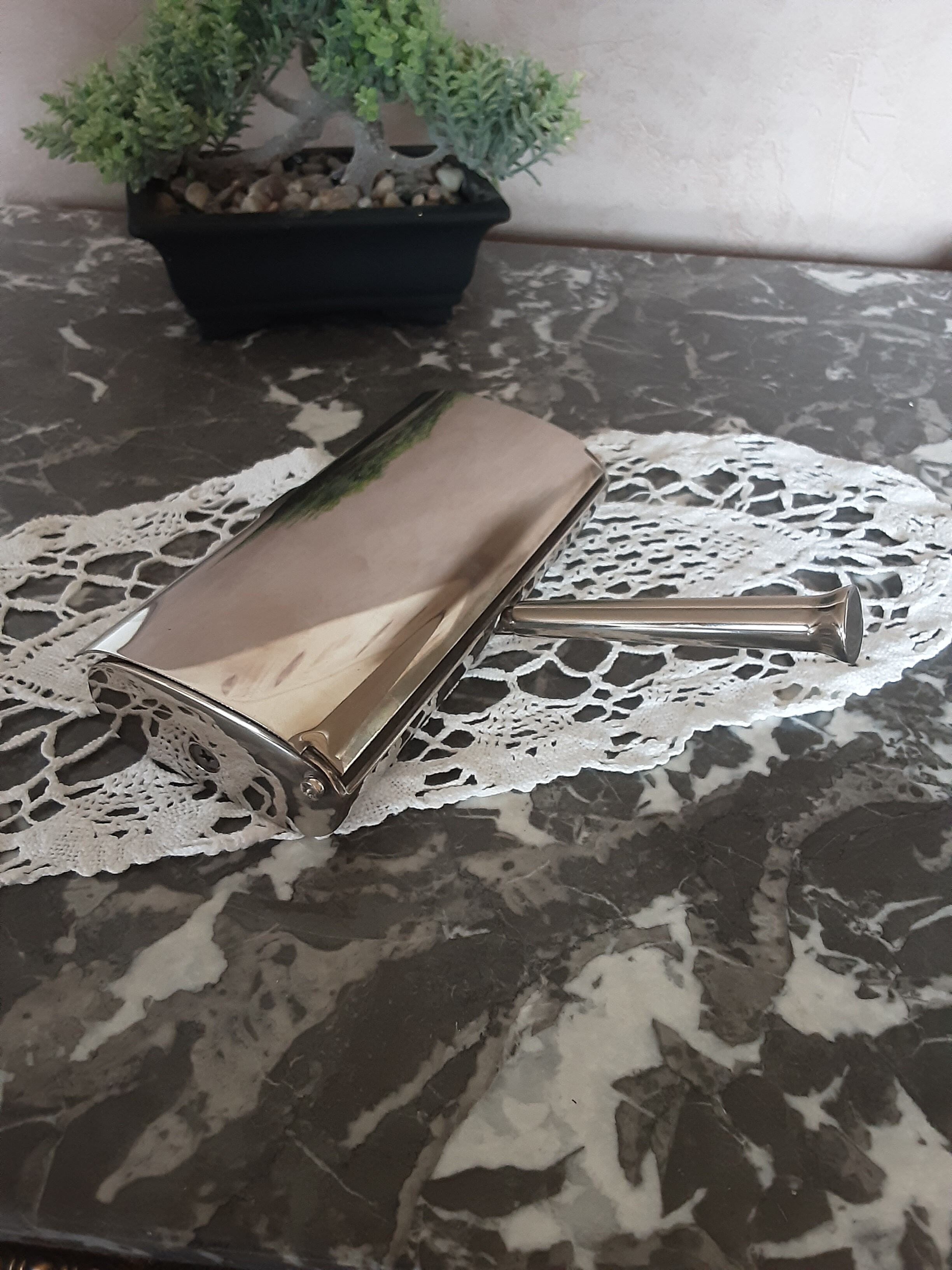 Solid stainless steel crumb pickup - vintage