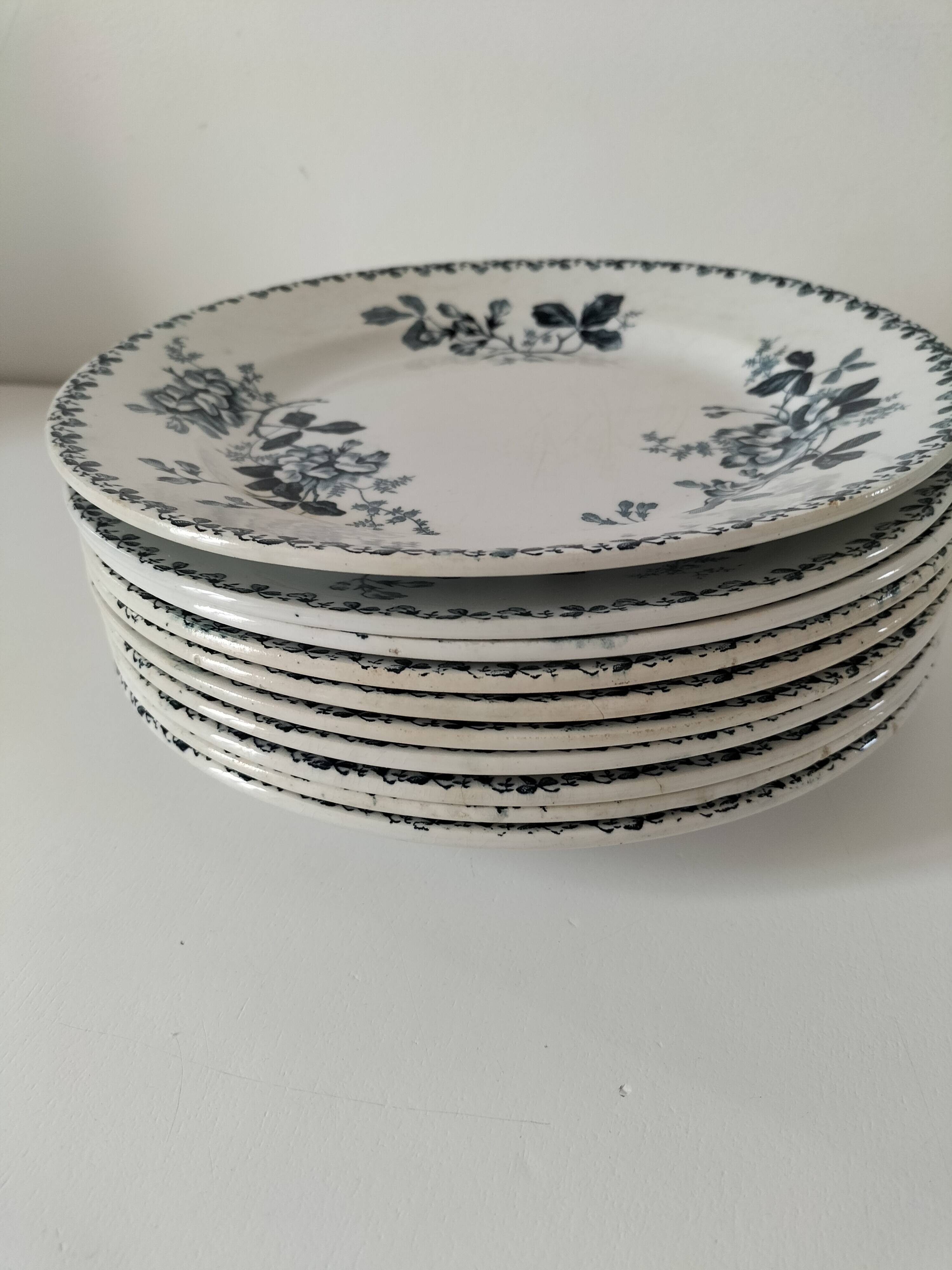 Set of 10 ironstone plates Moulin des Loups Acacia