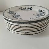 Set of 10 ironstone plates Moulin des Loups Acacia