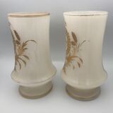 Pair of vases in opaline decoration of motifs of garlands, edges of gold, xixth