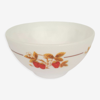 Arcopal opaline bowl and vintage strawberry decorations