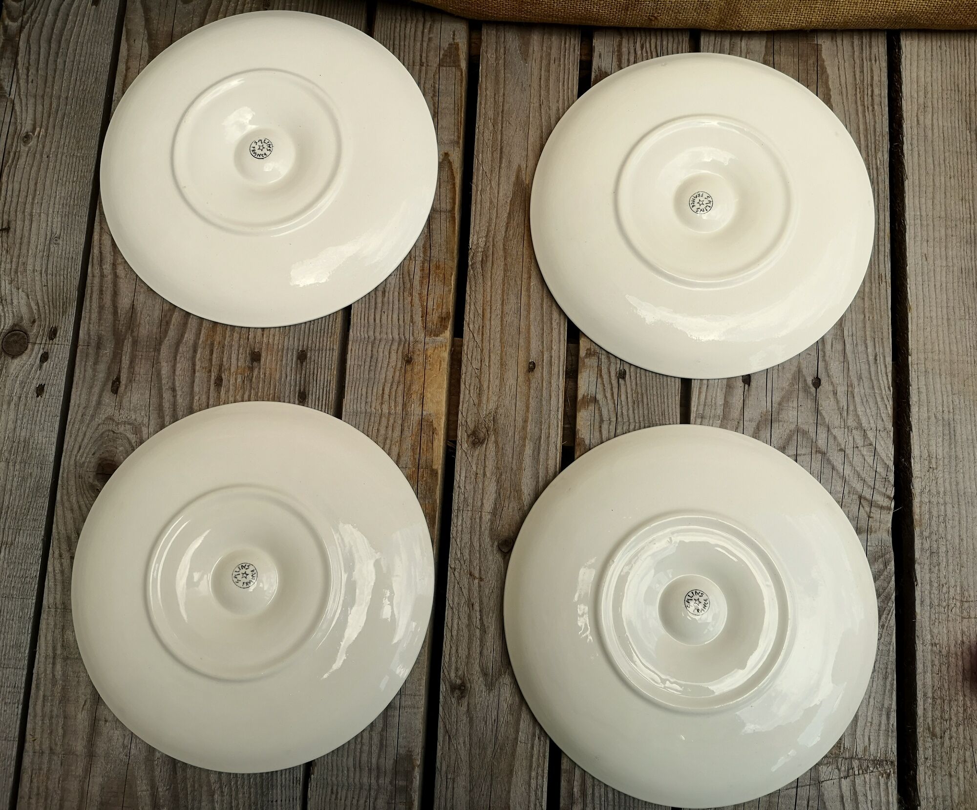 Set of 4 plates with oysters yellow and green salins décor