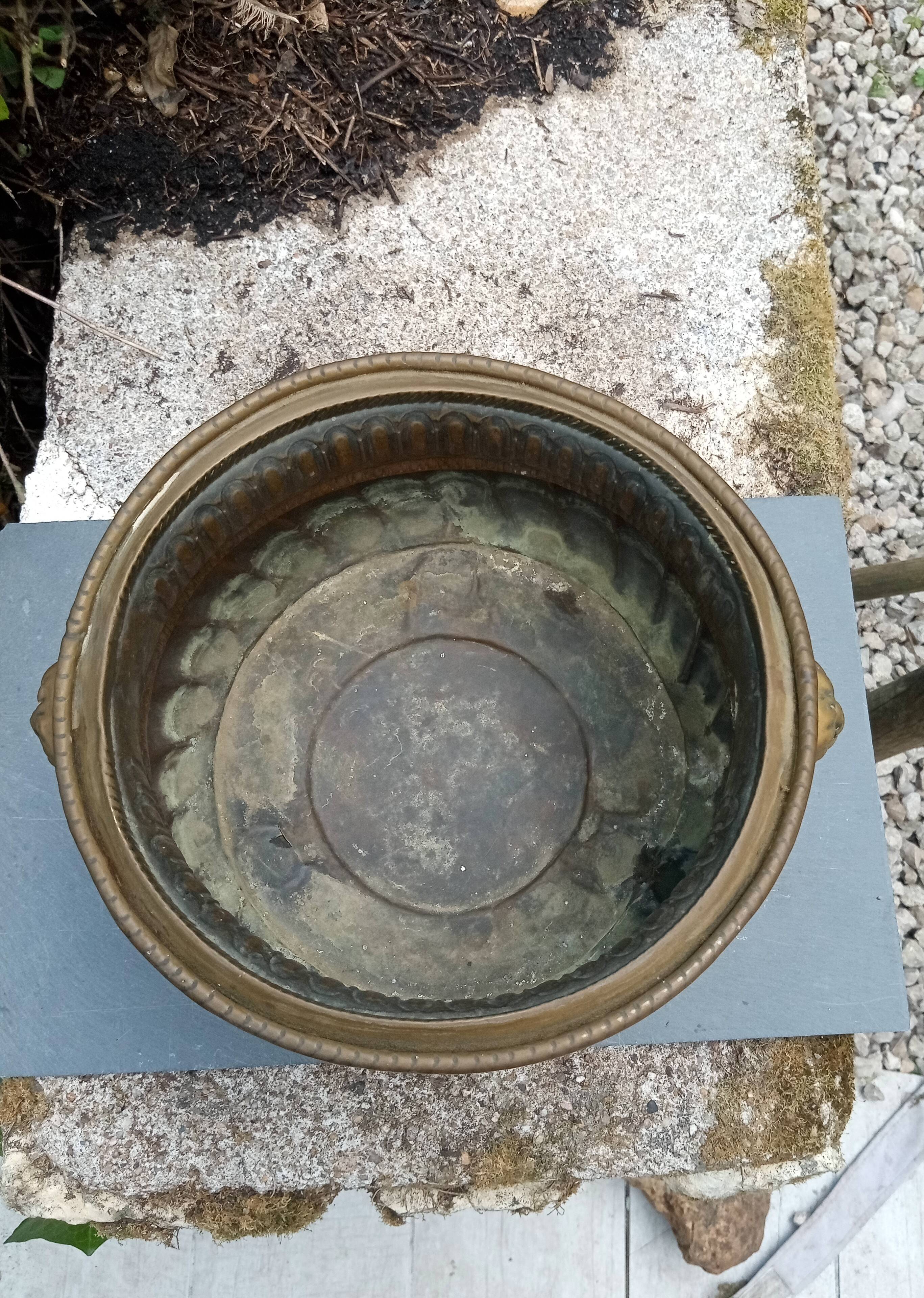 Large brass lion planter 19th century