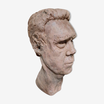 Man's bust in terracotta