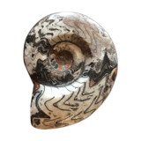 Ceramic shell paper press