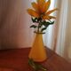 Vase en verre jaune et vert