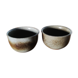 Two bowls