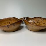 Avocado cup