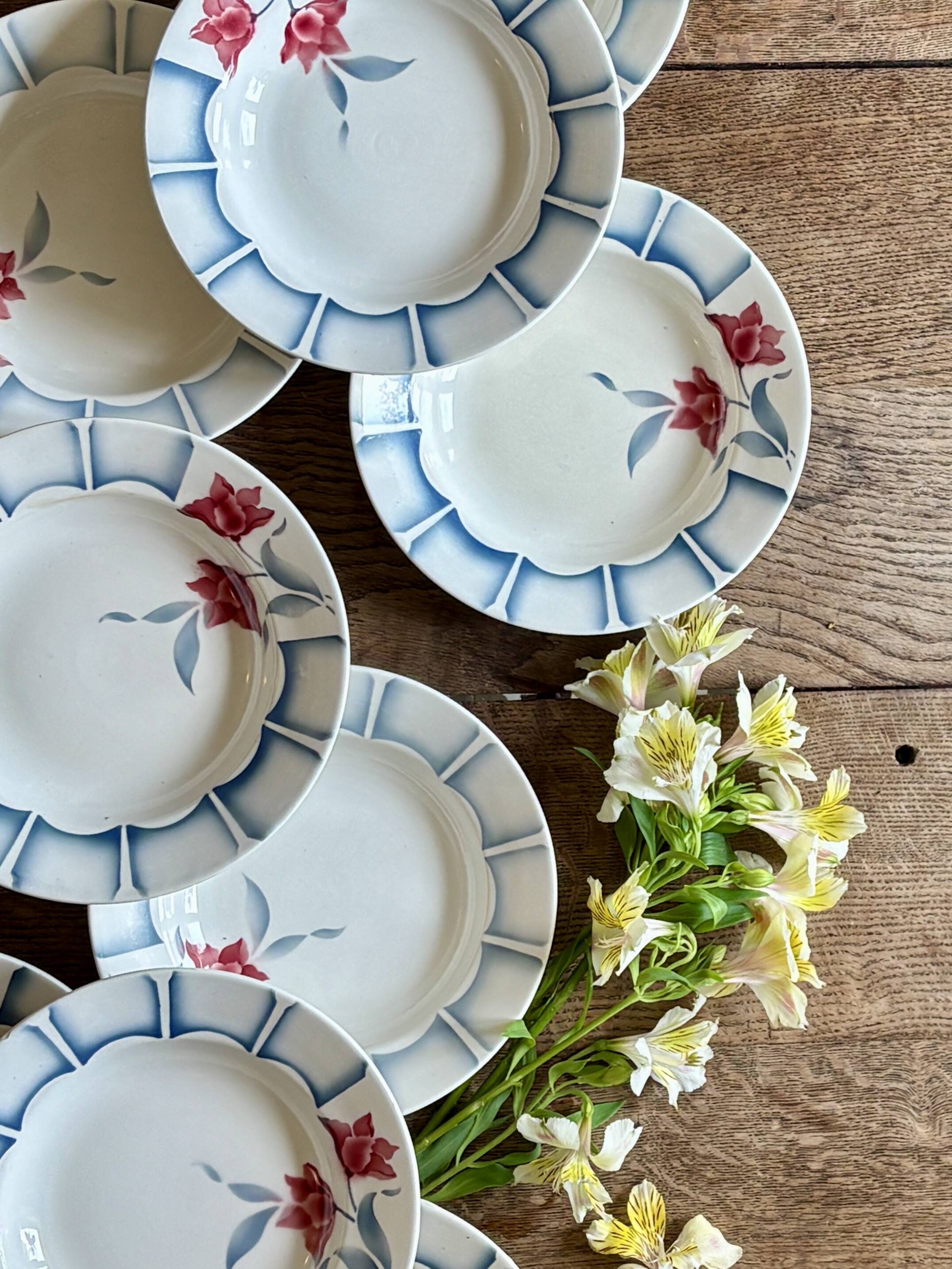 Set of 10 vintage deep plates from Digoin.
