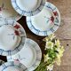 Set of 10 vintage deep plates from Digoin.