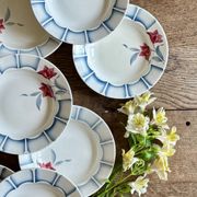 Set of 10 vintage deep plates from Digoin.