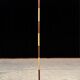 Scandinavian teak and brass floor lamp