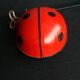 Mechanical ladybird toy