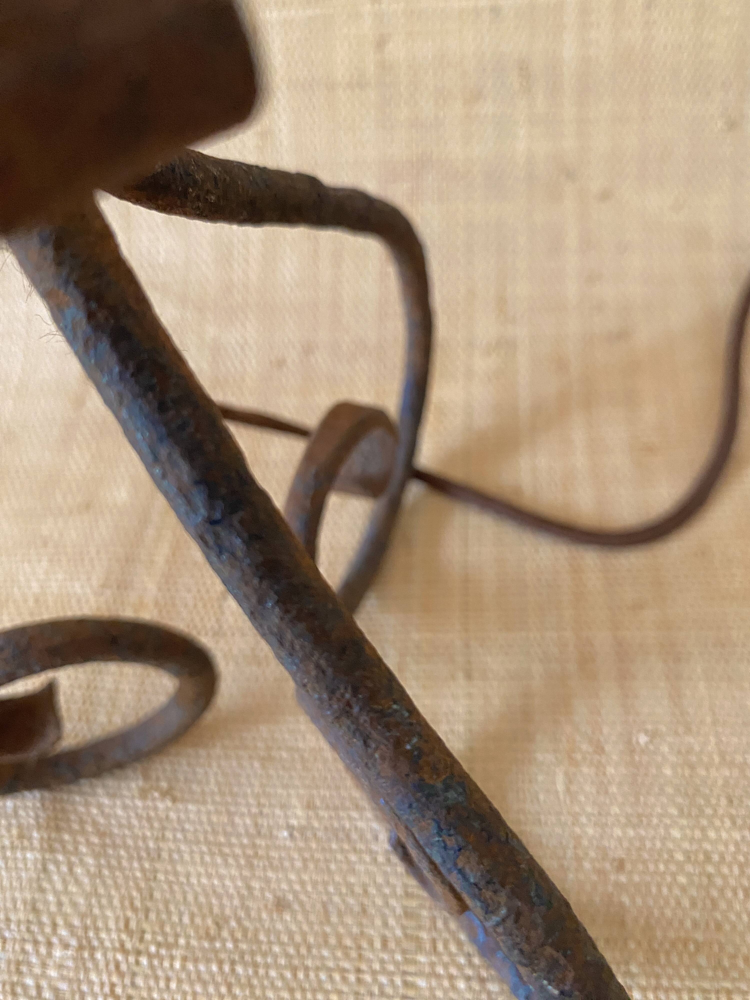 Wrought iron foot and its new 2M fabric cable