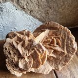 Rose des sables