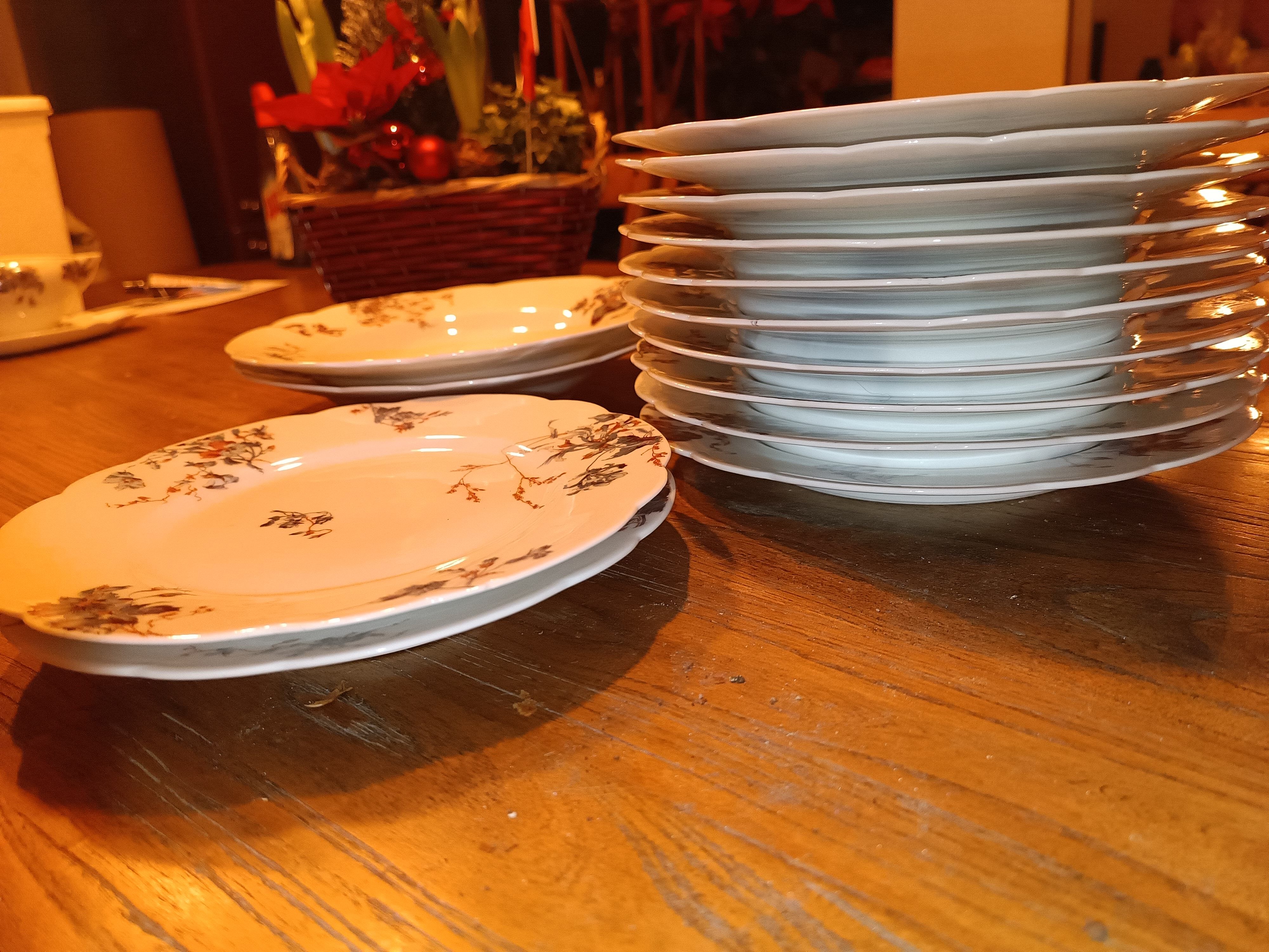 Penin violette porcelain plate in béthune (62)