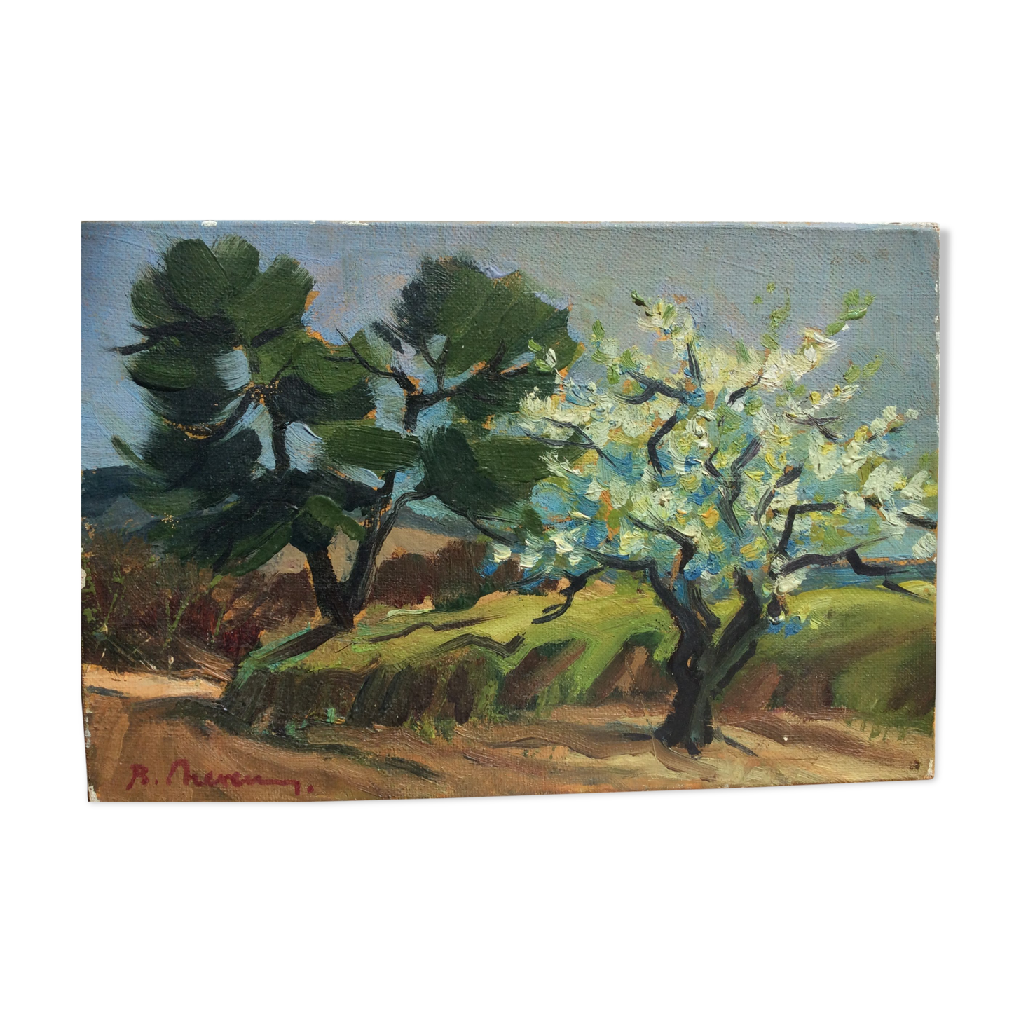 Oil on canvas - Almond in bloom in Provence