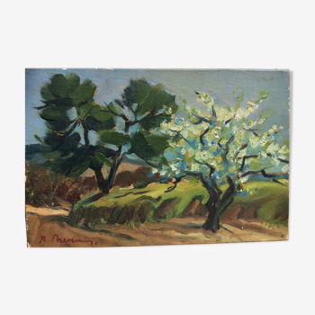 Oil on canvas - Almond in bloom in Provence