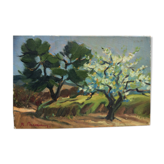 Oil on canvas - Almond in bloom in Provence