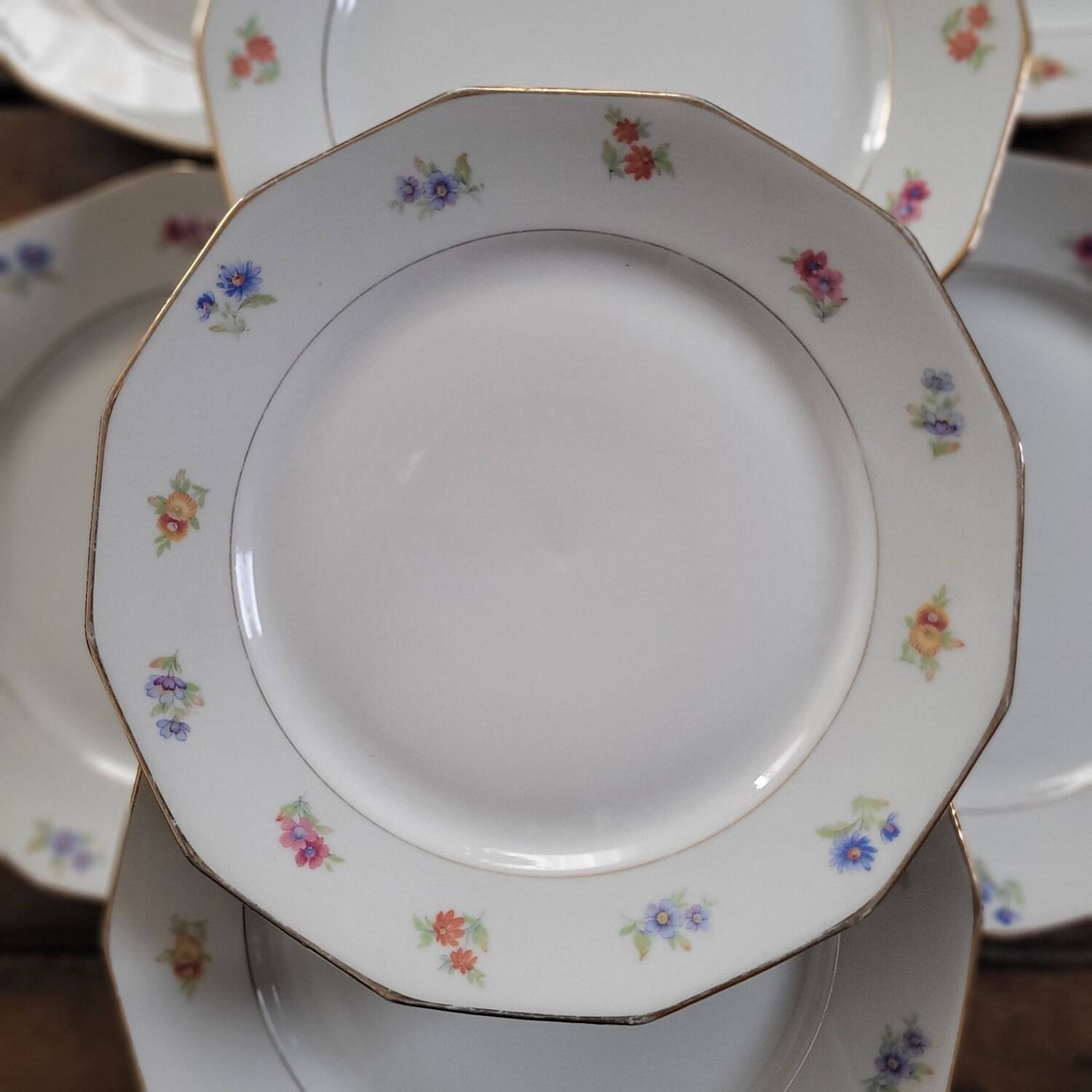 Twelve-panel floral plates

1960s.