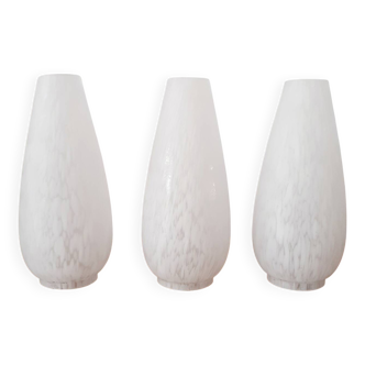 Lot tulipe