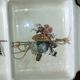 Three-compartment plate in earthenware from Obernai – Alsace