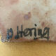 Ceramic Viola Hering