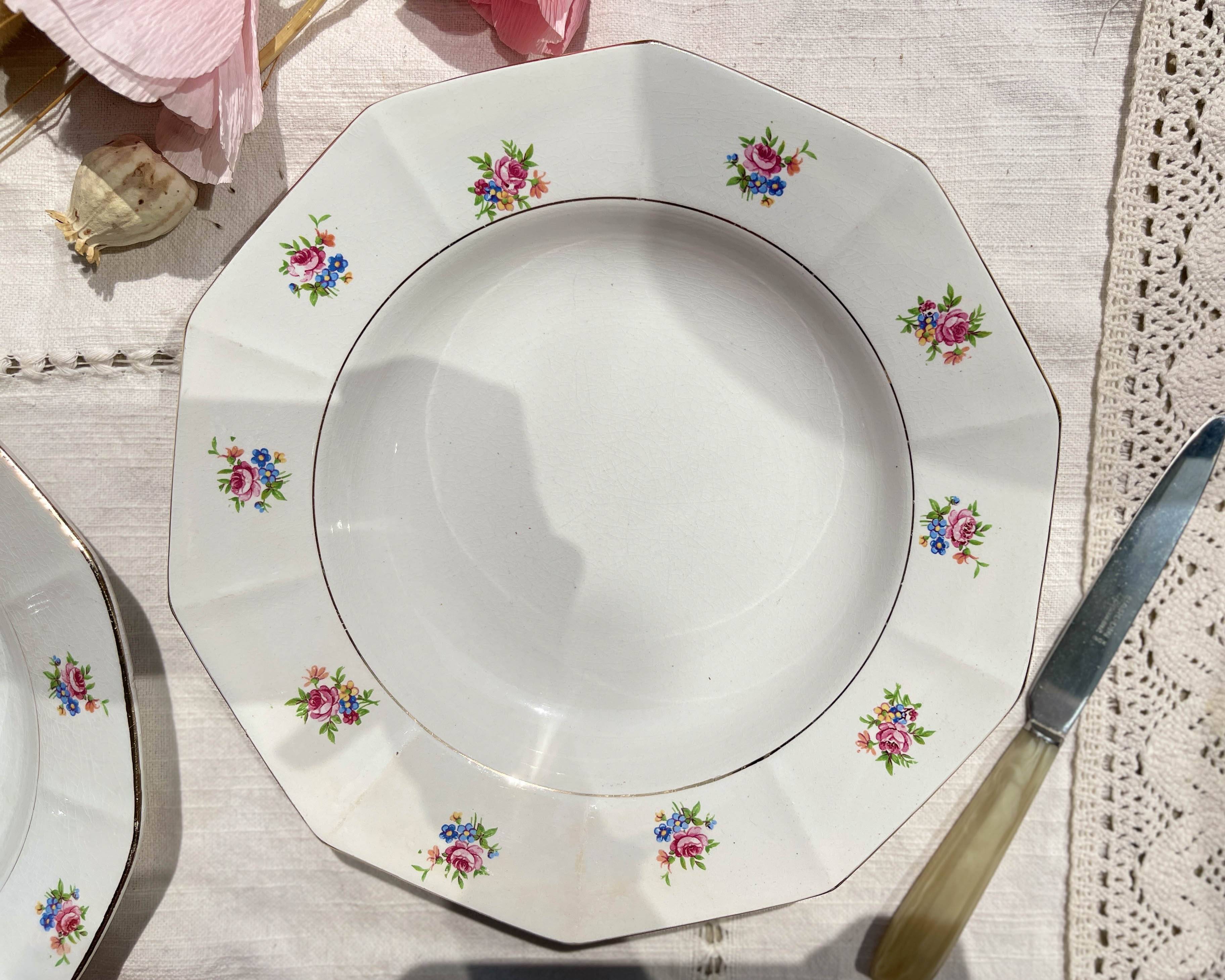 5 vintage hollow plates in opaque porcelain SALINS floral pattern