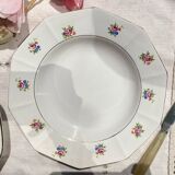 5 vintage hollow plates in opaque porcelain SALINS floral pattern