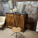 Double foot lamp compass and harness