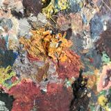 Painter's palette