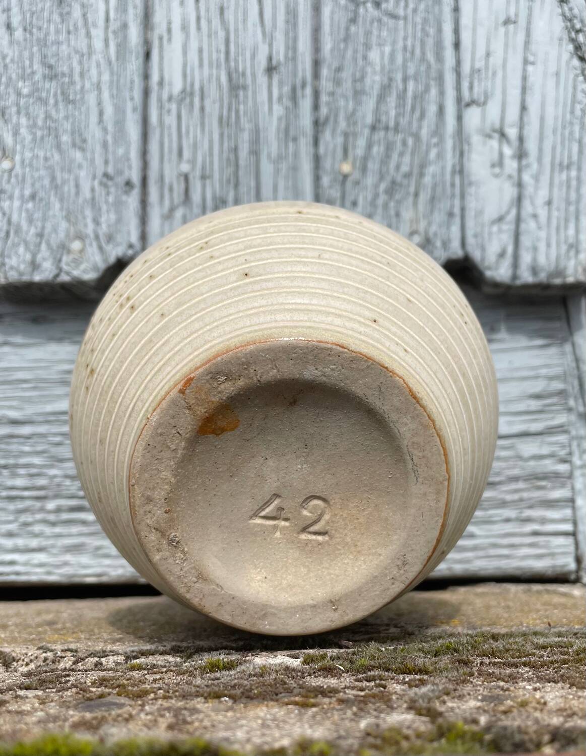 Terracotta vase soliflore