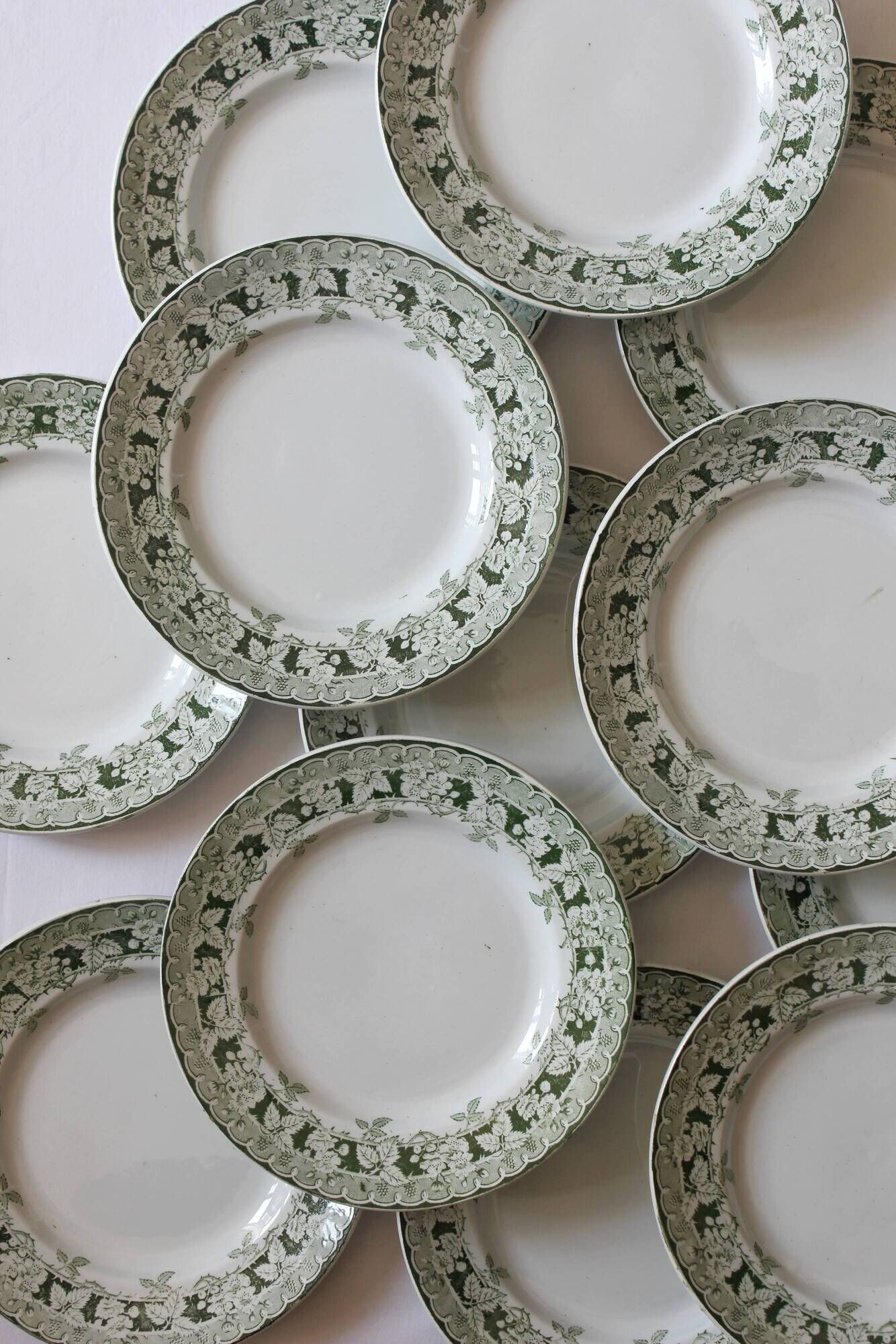 12 flat plates in iron earth model "Mulberry" Saint Amand and Hamage early twentieth century