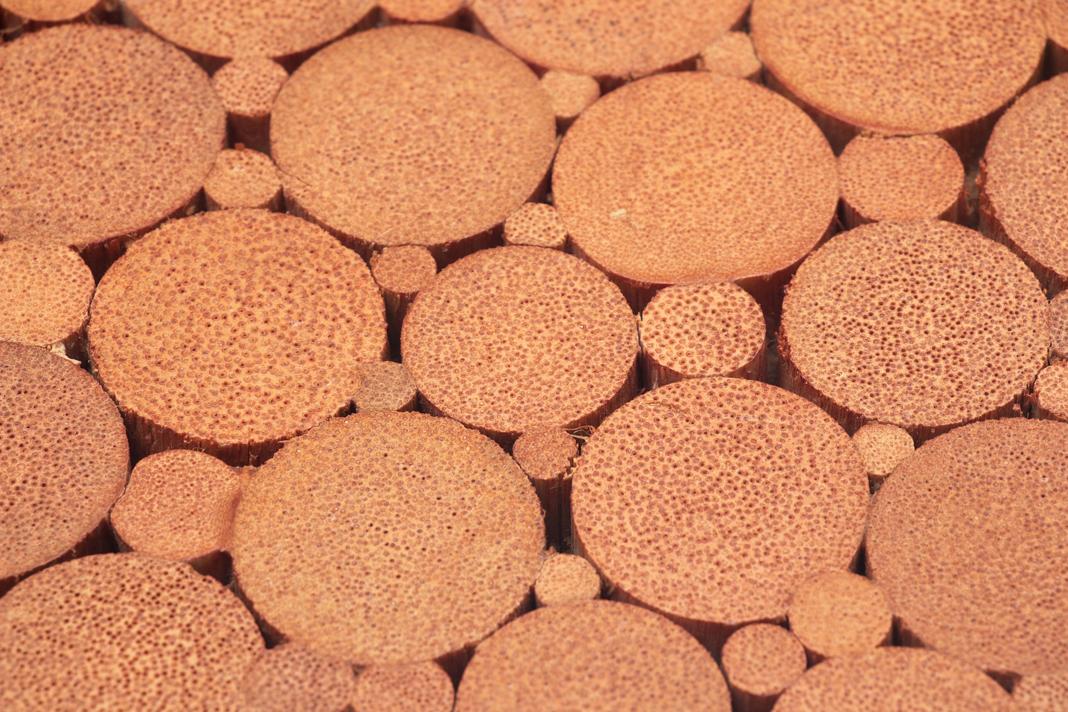 Bohemian bamboo mcguire dining table set with 6 palm leaf chairs, 1960 france.