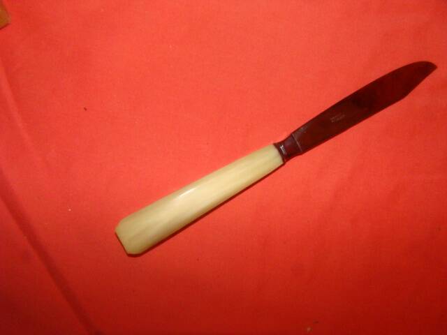 Set of 12 table knives and 12 cheese knives in bone and stainless steel.