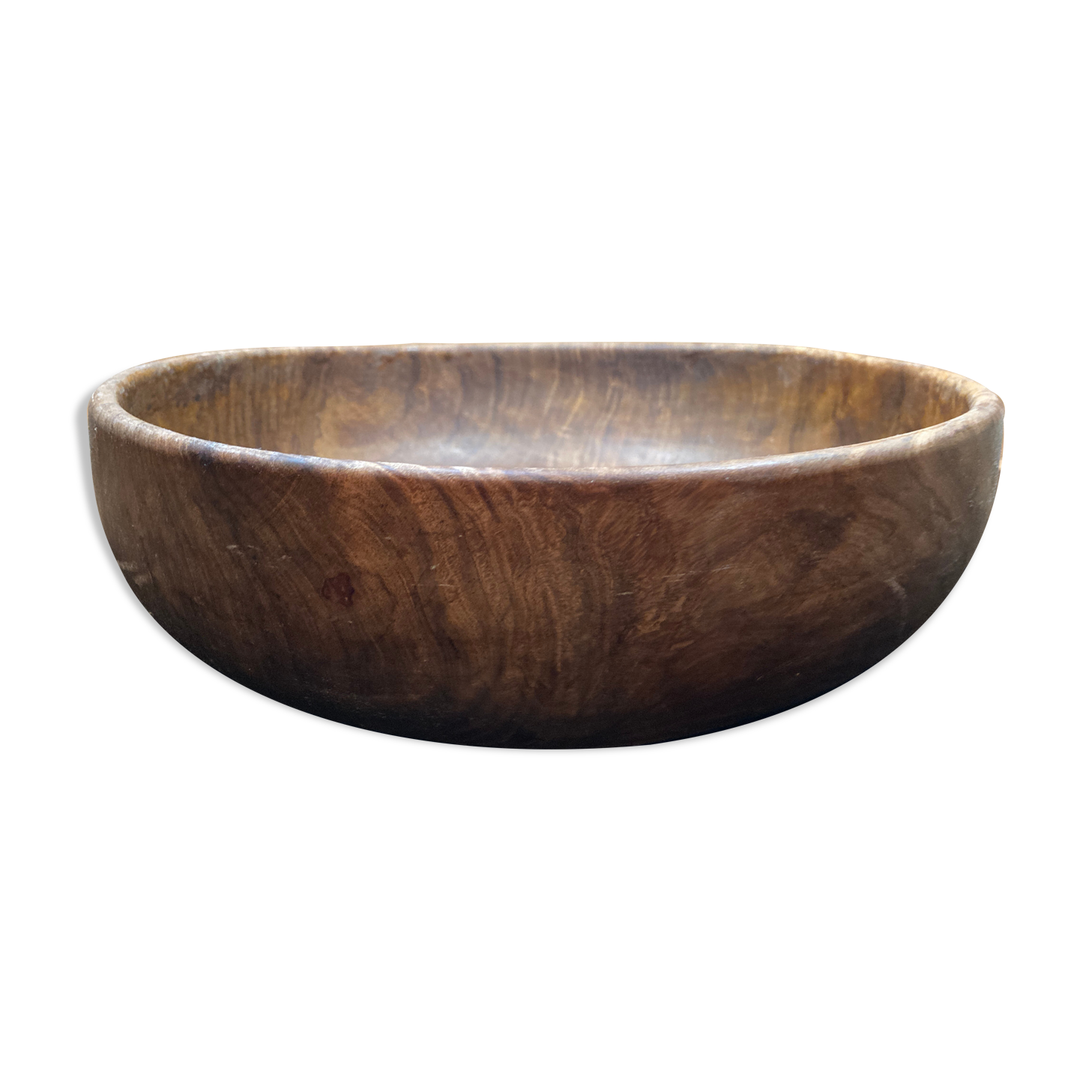 Round dish in olive tree