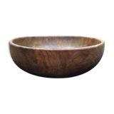Round dish in olive tree