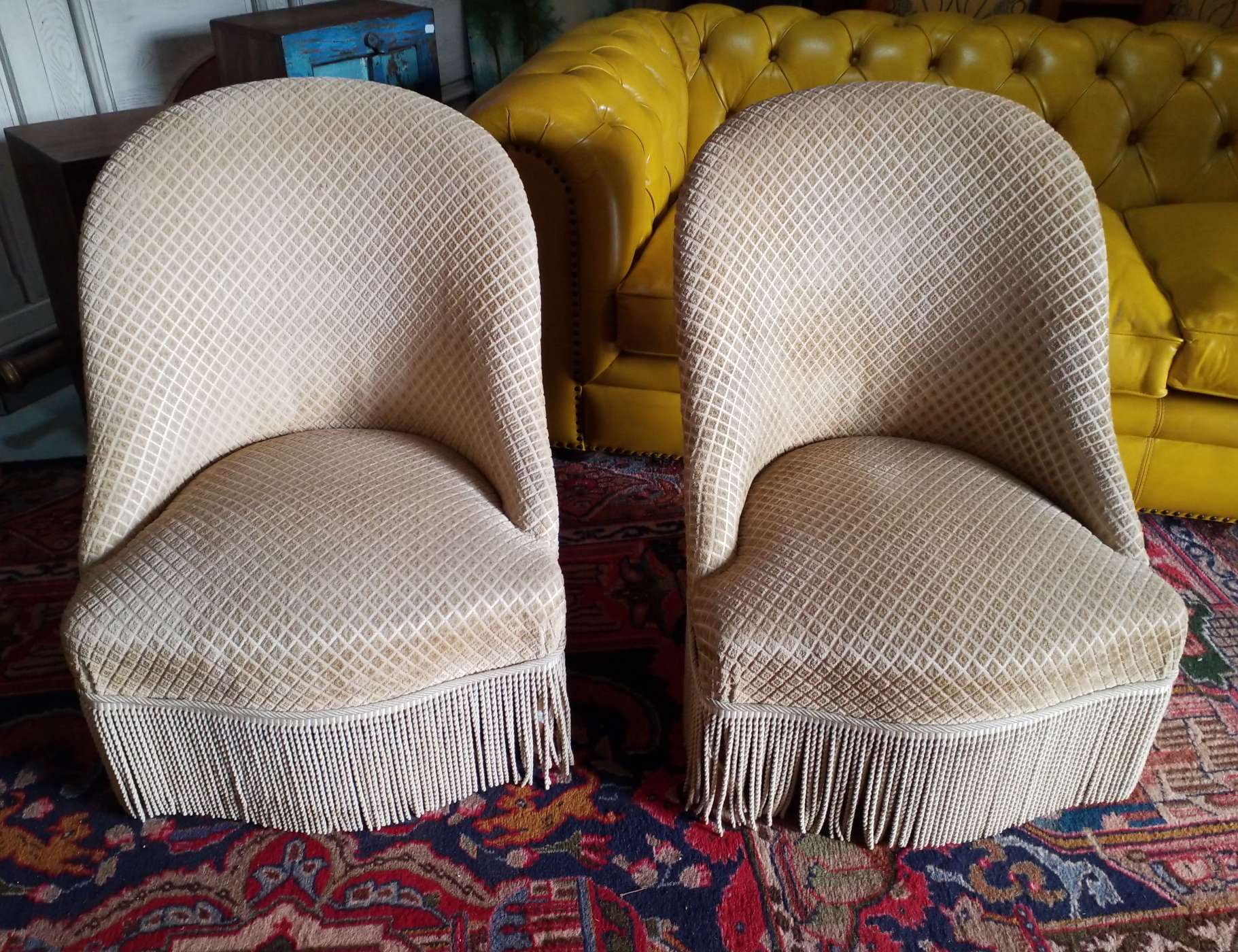 Pair of toad armchairs
