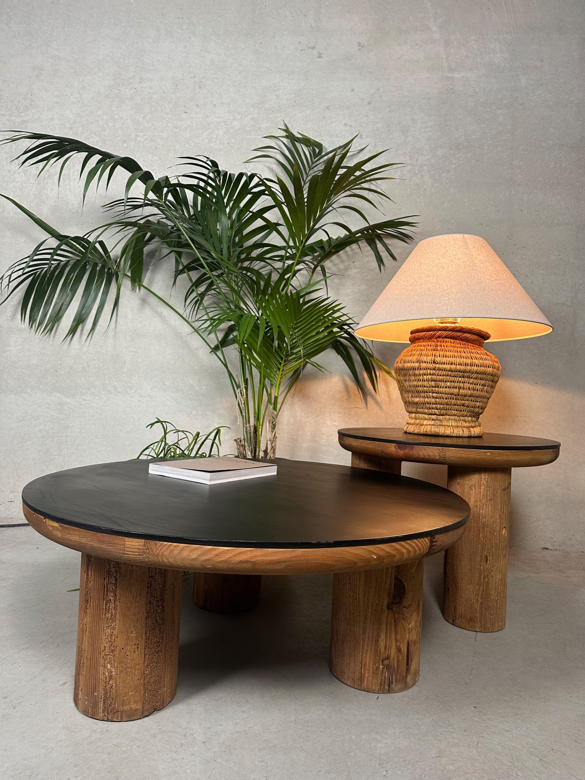 2x japandi coffee table