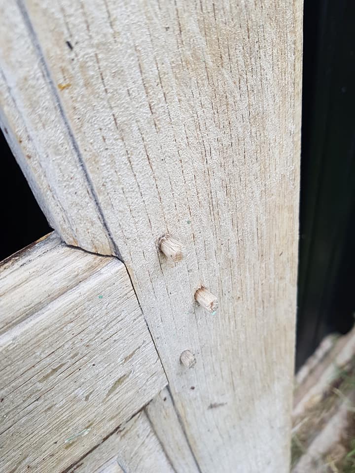 Ancient paneled solid oak door with 3 windows