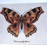 90s fabric butterfly suspension