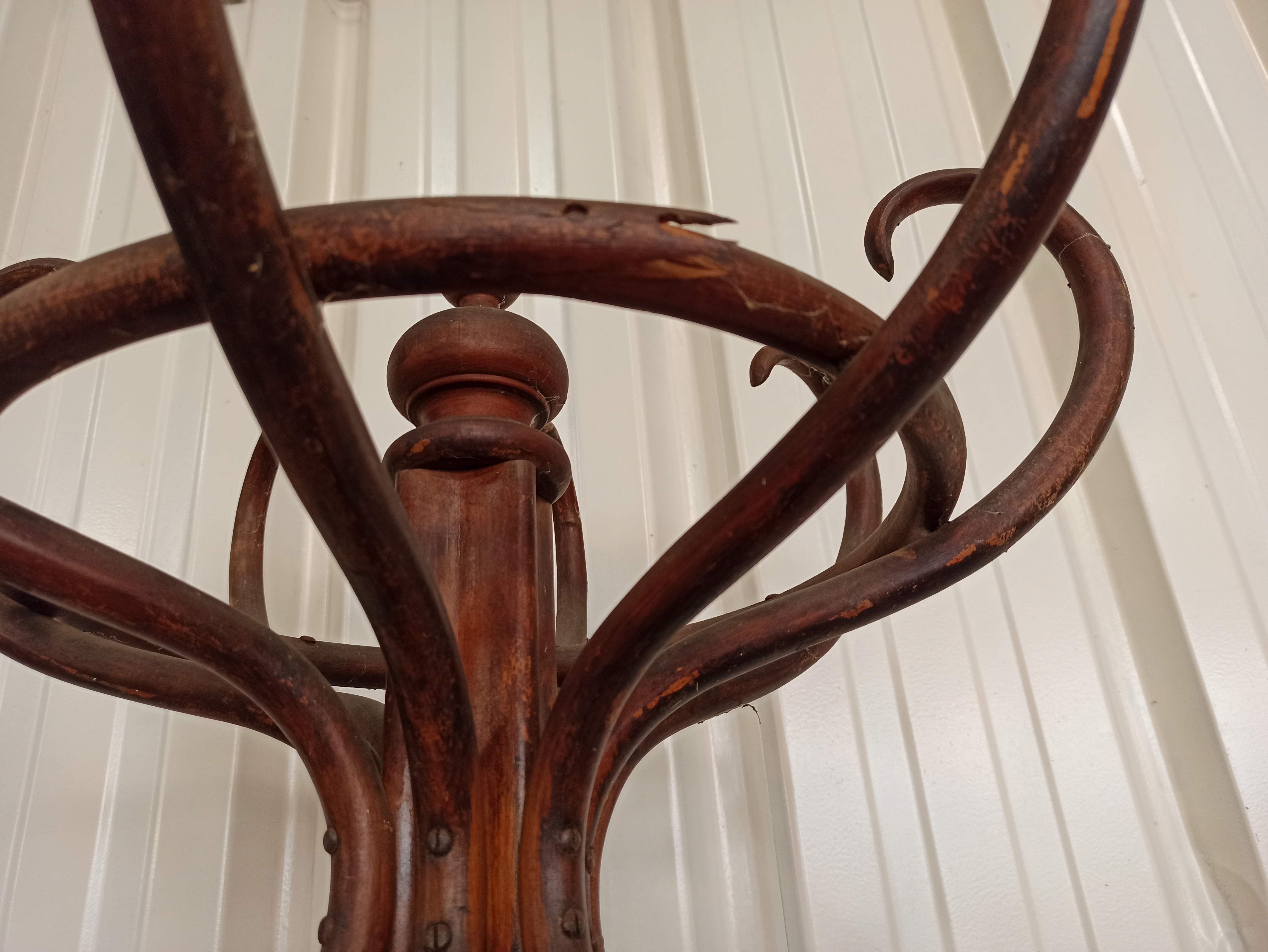 Porte-manteau perroquet en bois courbé Fischel par Alexander porte manteau patère