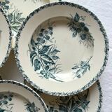 6 hollow plates in blackberry iron earth, Badonviller circa 1900