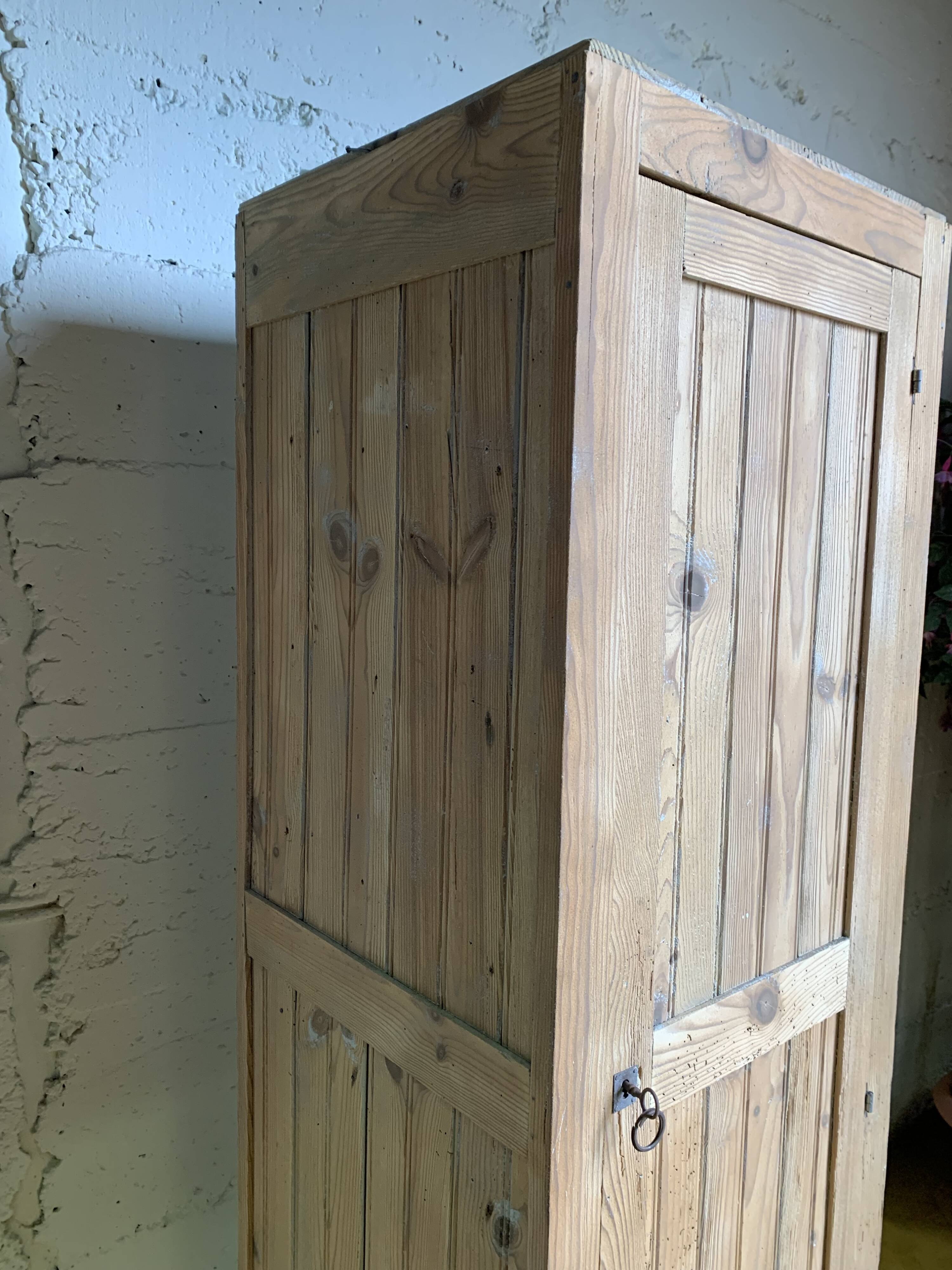 Wardrobe with 1 raw wood door