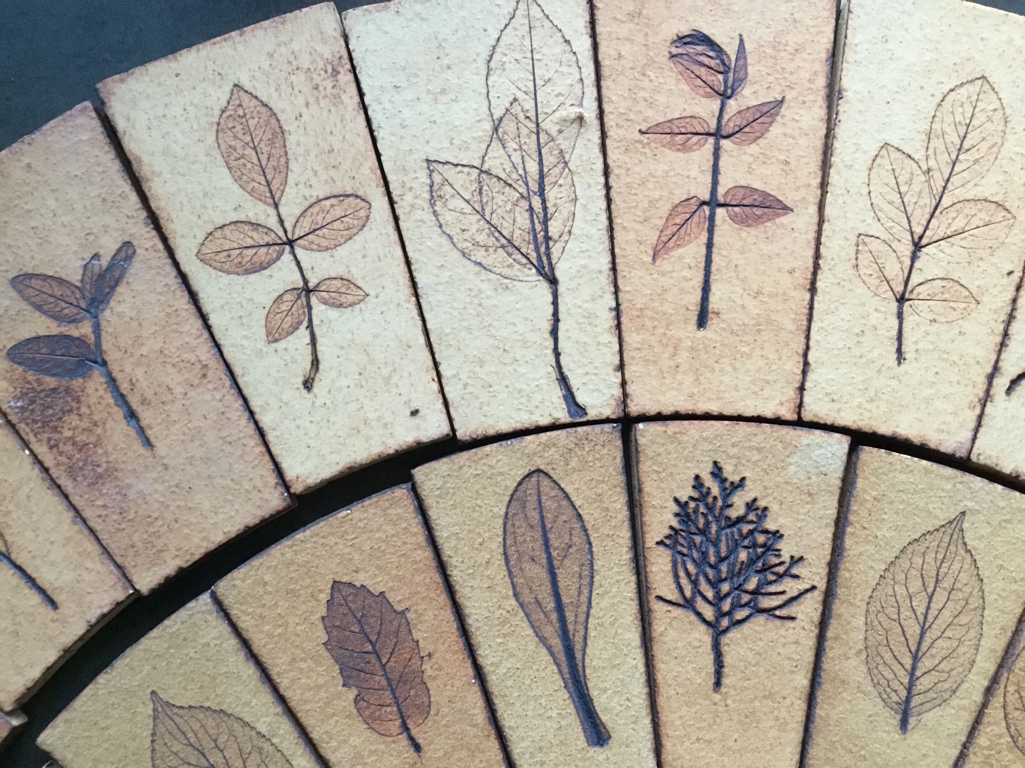 Carreaux herbier Roger Capron