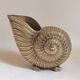 Champagne bucket shell shape Nautilus Giovanni Patrini brass Width 23.3 cm