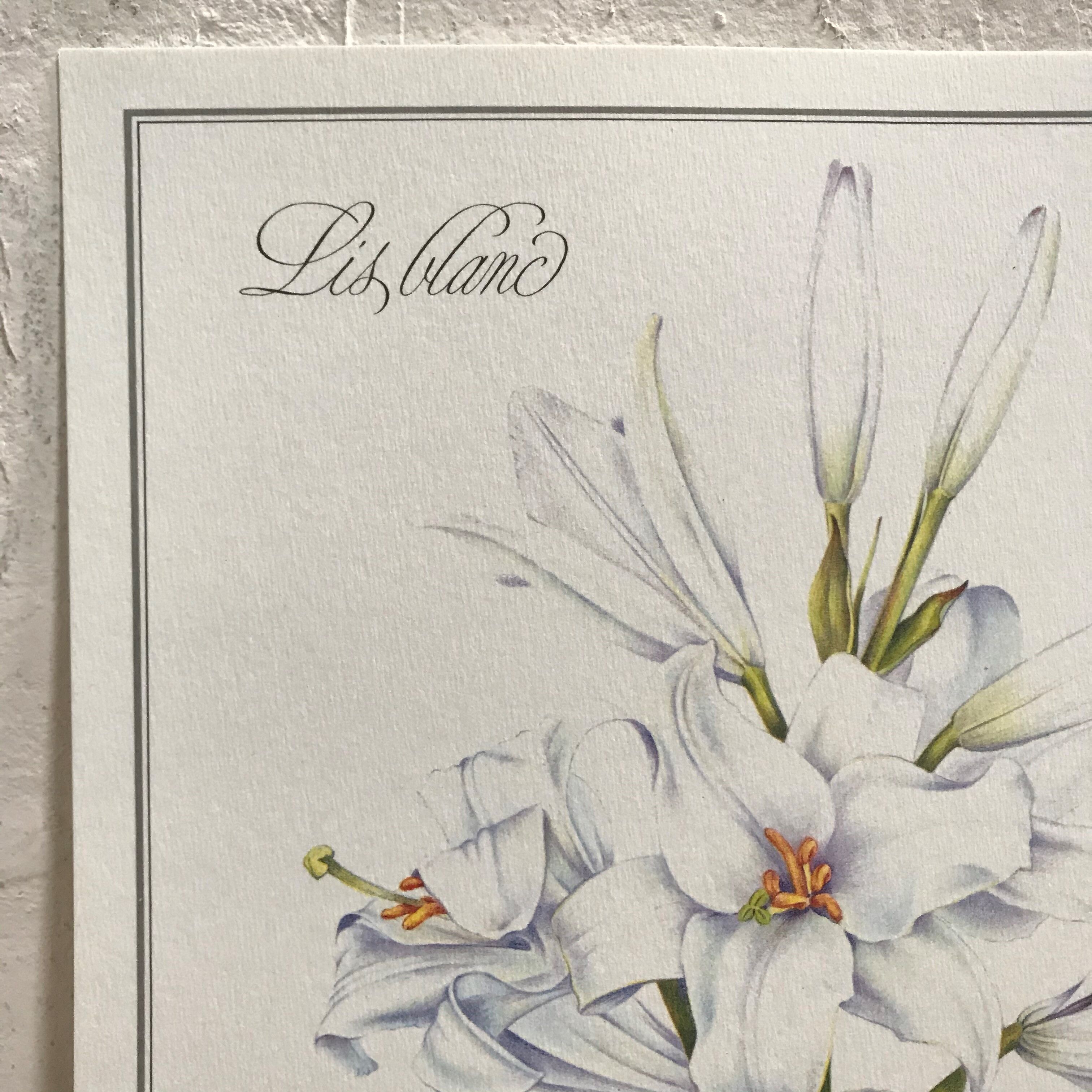 Botanical plank the White Lily