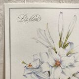 Botanical plank the White Lily