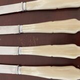 Set of 12 vintage knives and case